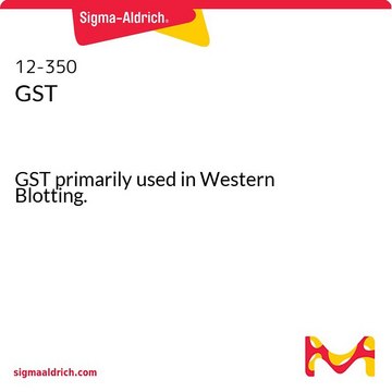 GST GST primarily used in Western Blotting.