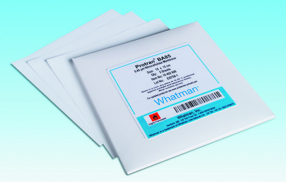 Whatman&#174; nitrocellulose membrane filters NC45 Membrane Circles, diam. 100&#160;mm, pore size 0.45&#160;&#956;m