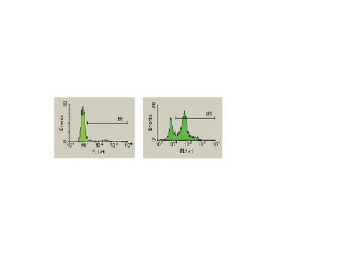 CaspaTag Caspase 3,7 In Situ Assay Kit, Fluorescein The In Situ Caspase Detection Kit for Flow Cytometry use a novel approach to detect active caspases. The methodology is based on Fluorochrome Inhibitors of Caspases (FLICA).