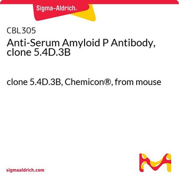 Anti-Serum Amyloid P Antibody, clone 5.4D.3B clone 5.4D.3B, Chemicon&#174;, from mouse