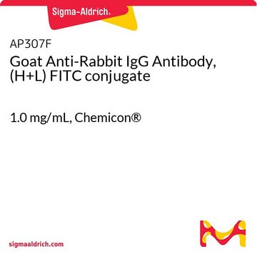 山羊抗兔IgG抗体，（H + L）FITC偶联 1.0&#160;mg/mL, Chemicon&#174;