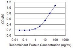Monoclonal Anti-SNX8 antibody produced in mouse clone 3B6, purified immunoglobulin, buffered aqueous solution