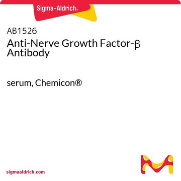 Anti-Nerve Growth Factor-&#946; Antibody serum, Chemicon&#174;