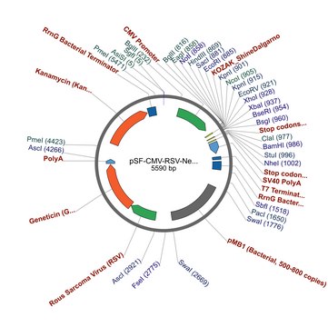 PSF-CMV-RSV-NEO/G418 ASCI - RSV PROMOTER G418 PLASMID plasmid vector for molecular cloning