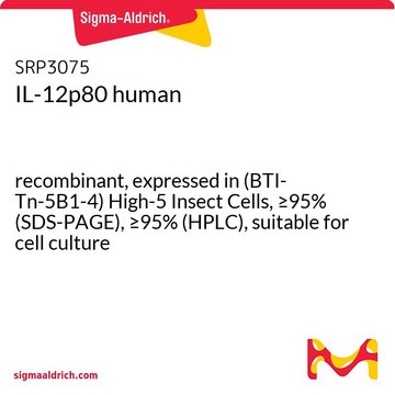 IL-12p80 human recombinant, expressed in (BTI-Tn-5B1-4) High-5 Insect Cells, &#8805;95% (SDS-PAGE), &#8805;95% (HPLC), suitable for cell culture