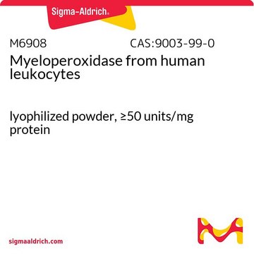 髓过氧化物酶 来源于人类白血球 lyophilized powder, &#8805;50&#160;units/mg protein