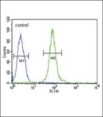 [KO Validated]Anti-YWHAG antibody produced in rabbit [Knockout Validated],affinity isolated antibody, buffered aqueous solution