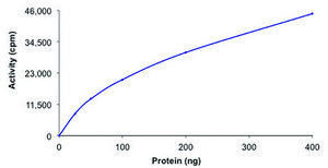 ALK6 (BMPR1B), active, GST tagged human PRECISIO®, recombinant, expressed in baculovirus infected Sf9 cells, ≥70% (SDS-PAGE), buffered aqueous glycerol solution