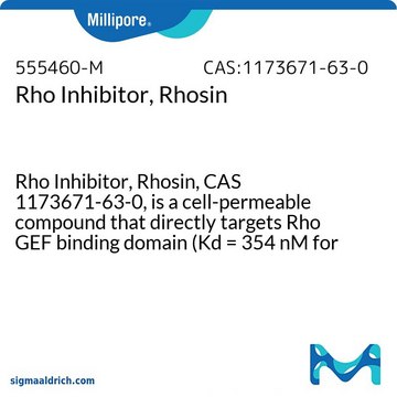 Rho抑制剂，Rhosin Rho Inhibitor, Rhosin, CAS 1173671-63-0, is a cell-permeable compound that directly targets Rho GEF binding domain (Kd = 354 nM for RhoA), thereby prevents Rho from interacting with its GEFs.