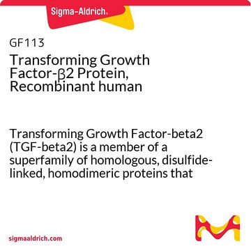 重组人转化生长因子-&#946;2蛋白 Transforming Growth Factor-beta2 (TGF-beta2) is a member of a superfamily of homologous, disulfide-linked, homodimeric proteins that regulate the proliferation &amp; differentiation of normal &amp; transformed cells.