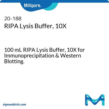 RIPA Lysis Buffer, 10X 100 mL RIPA Lysis Buffer, 10X for Immunoprecipitation &amp; Western Blotting.