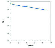 Lumi-LightPLUS Western Blotting Substrate pkg of 100 mL (1,000 cm2 membrane)