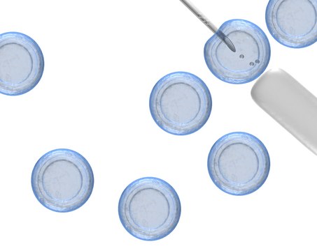 EmbryoMax&#174; 2-巯基乙醇（100X） The EmbryoMax 2-Mercaptoethanol (100X) is available in a 20 mL format and may be used for routine mouse embryonic stem cell culture applications.