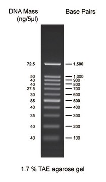 DirectLoad&#8482; Plus 100bp DNA Ladder