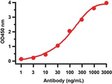 Anti-SARS-CoV-2 (COVID-19) NSP2 antibody produced in rabbit affinity isolated antibody