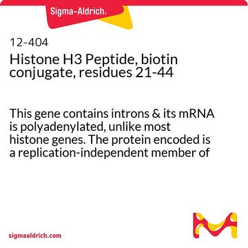 组蛋白H3多肽，生物素标记，21-44残基 This gene contains introns &amp; its mRNA is polyadenylated, unlike most histone genes. The protein encoded is a replication-independent member of the histone H3 family.