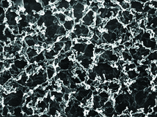 Whatman® mixed cellulose ester membrane filters gridded white (without pad), pore size 0.45 μm, diam. 47 mm, sterile; γ-irradiated