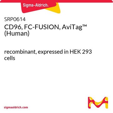 CD96, FC-FUSION, AviTag&#8482; (Human) recombinant, expressed in HEK 293 cells