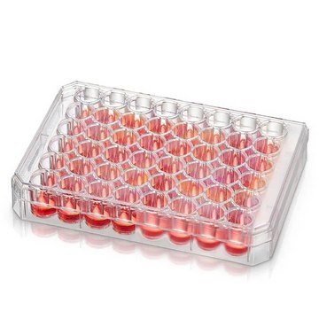 Nunc® Non-Treated Multidish wells 48, polystyrene, L × W 128 mm × 86 mm, with lid, non-treated, case of 75 ea