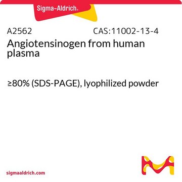 Angiotensinogen 来源于人类血浆 &#8805;80% (SDS-PAGE), lyophilized powder