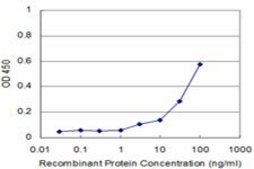 Monoclonal Anti-MAZ antibody produced in mouse clone 1C1, purified immunoglobulin, buffered aqueous solution