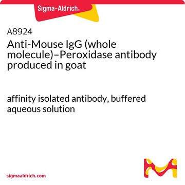 抗小鼠IgG（全分子）-过氧化物酶 山羊抗 affinity isolated antibody, buffered aqueous solution