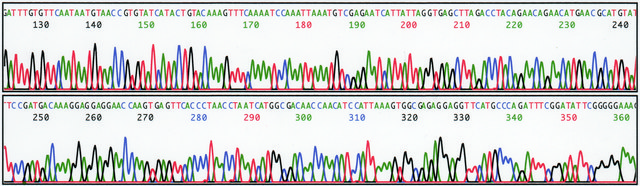 REDExtract-N-Amp&#8482; 种子 PCR 试剂盒 sufficient for 10&#160;extractions, sufficient for 10&#160;amplifications