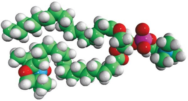 16:0-16 Doxyl PC Avanti Polar Lipids 810604P, powder