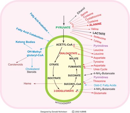 TCA Cycle Metabolite Library