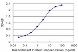 Monoclonal Anti-SPAST antibody produced in mouse clone 3A12, purified immunoglobulin, buffered aqueous solution