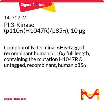 PI 3-Kinase (p110&#945;(H1047R)/p85&#945;), 10 &#181;g Complex of N-terminal 6His-tagged recombinant human p110&#945; full length, containing the mutation H1047R &amp; untagged, recombinant, human p85&#945; full length.