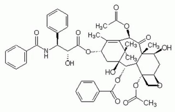 Paclitaxel, Taxus sp. Antitumor and antileukemic agent isolated from the bark of the yew tree.