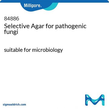 病原性真菌的选择性琼脂 suitable for microbiology