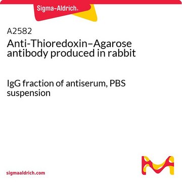 Anti-Thioredoxin–Agarose antibody produced in rabbit IgG fraction of antiserum, PBS suspension