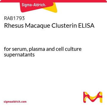 恒河猴丛生蛋白ELISA for serum, plasma and cell culture supernatants