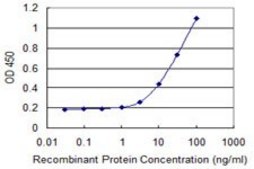 Monoclonal Anti-HOXB9 antibody produced in mouse clone 3C8, purified immunoglobulin, buffered aqueous solution