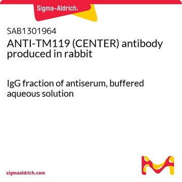 ANTI-TM119 (CENTER) antibody produced in rabbit IgG fraction of antiserum, buffered aqueous solution