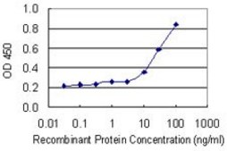 Monoclonal Anti-SAMSN1 antibody produced in mouse clone 1B8, purified immunoglobulin, buffered aqueous solution