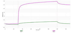 Anti-L1CAM/CD171 Antibody, clone 2B15 ZooMAb® Rabbit Monoclonal recombinant, expressed in HEK 293 cells