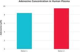 Adenosine Quantification Assay Kit sufficient for 100 fluorometric tests
