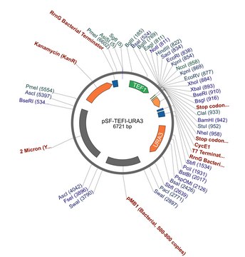 PSF-TEFI-URA3 - URACIL YEAST SELECTION PLASMID plasmid vector for molecular cloning