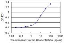 Monoclonal Anti-AMID antibody produced in mouse clone 3A11, purified immunoglobulin, buffered aqueous solution
