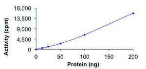 ERN2 (IRE2), Active PRECISIO® Kinase, recombinant
