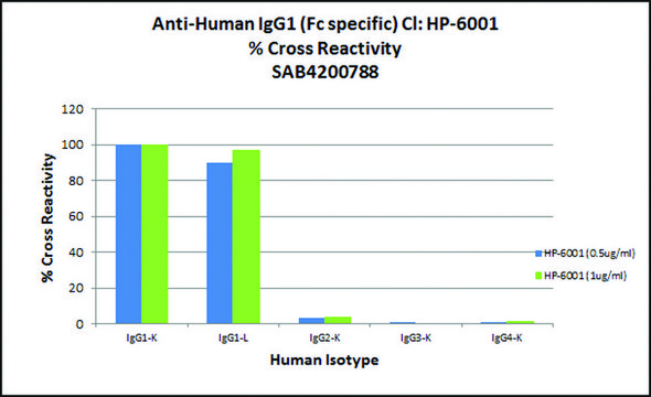 Anti-Human IgG1 (Fc specific) antibody, Mouse monoclonal clone HP-6001, purified from hybridoma cell culture