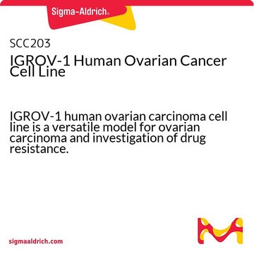 IGROV-1 Human Ovarian Cancer Cell Line IGROV-1 human ovarian carcinoma cell line is a versatile model for ovarian carcinoma and investigation of drug resistance.