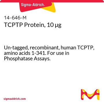 TCPTP Protein, 10 &#181;g Un-tagged, recombinant, human TCPTP, amino acids 1-341. For use in Phosphatase Assays.