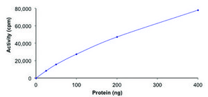 c-KIT (D820E), active, GST tagged human PRECISIO®, recombinant, expressed in baculovirus infected Sf9 cells, ≥70% (SDS-PAGE), buffered aqueous glycerol solution