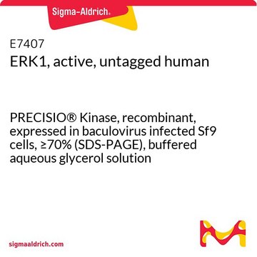 ERK1, active, untagged human PRECISIO&#174; Kinase, recombinant, expressed in baculovirus infected Sf9 cells, &#8805;70% (SDS-PAGE), buffered aqueous glycerol solution