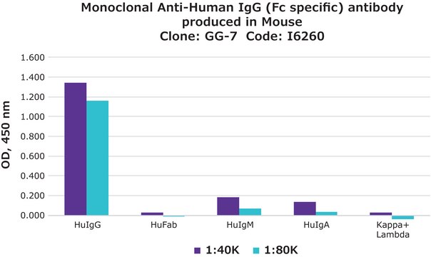 Monoclonal Anti-Human IgG (Fc specific) antibody produced in mouse clone GG-7, ascites fluid