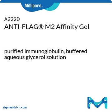 抗-FLAG&#174; M2亲和凝胶 purified immunoglobulin, buffered aqueous glycerol solution